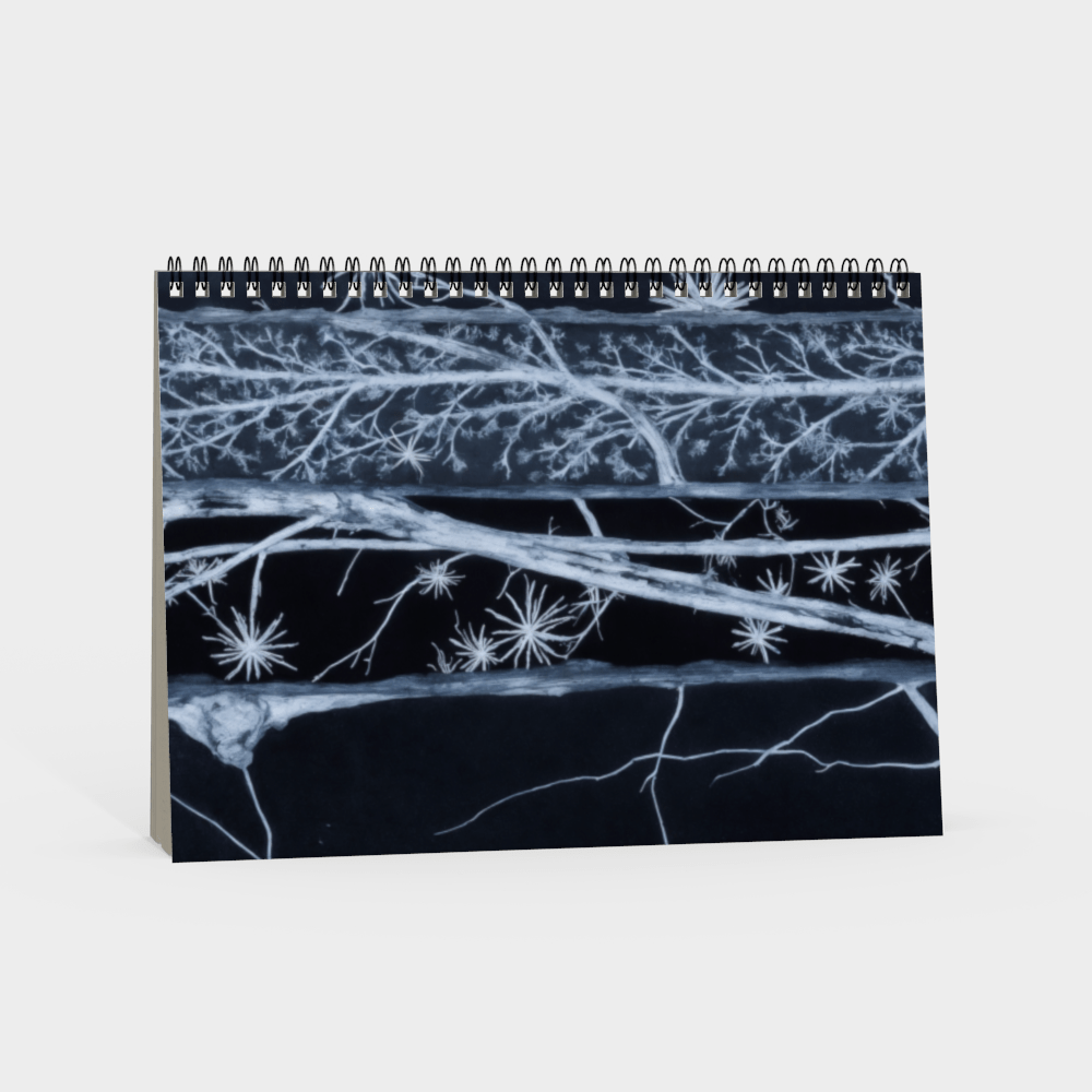 SCRIPT by Riffhaus - Pencil Case - Aurora Frozen Riff