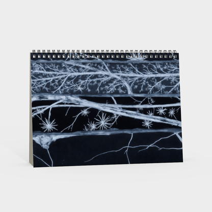 SCRIPT by Riffhaus - Pencil Case - Aurora Frozen Riff