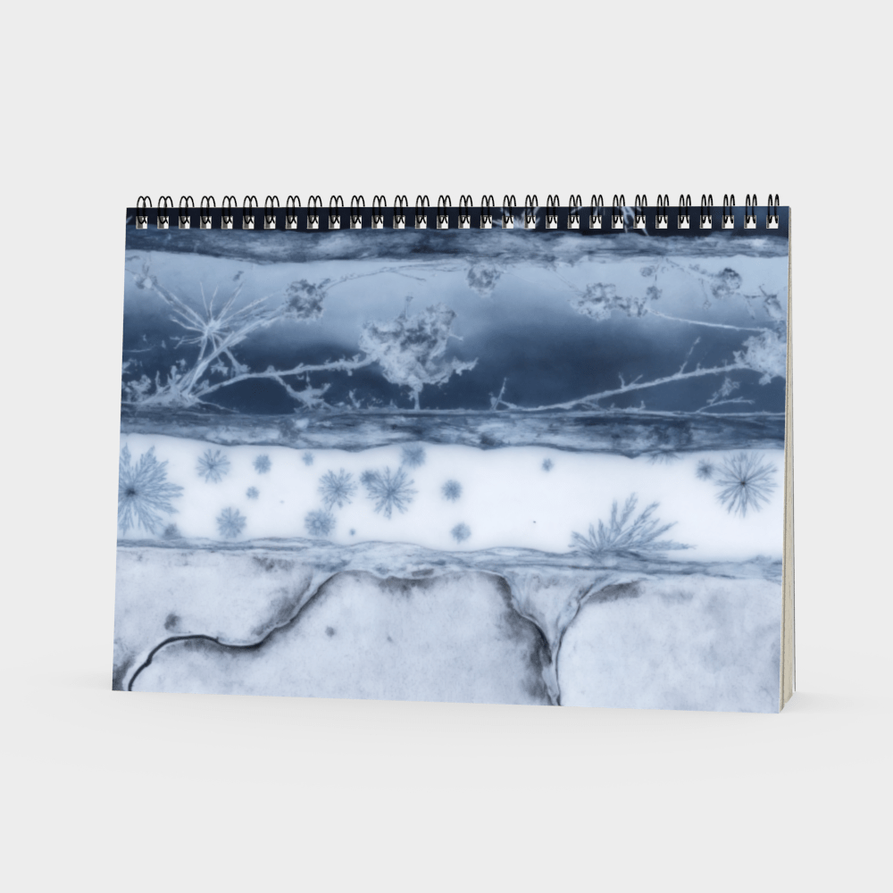 SCRIPT by Riffhaus - Pencil Case - Aurora Frozen Riff