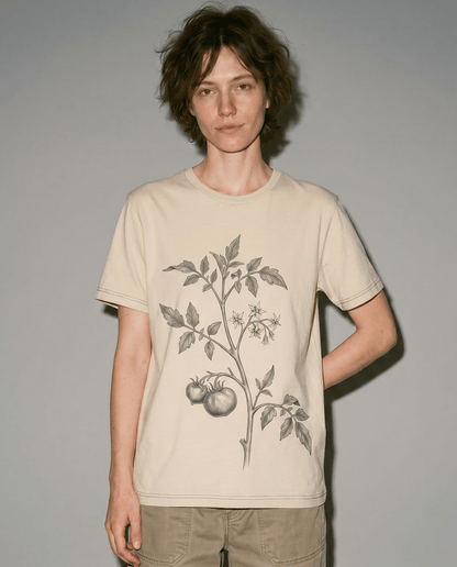 SOLANACEAE - TOMATO Riffhaus 