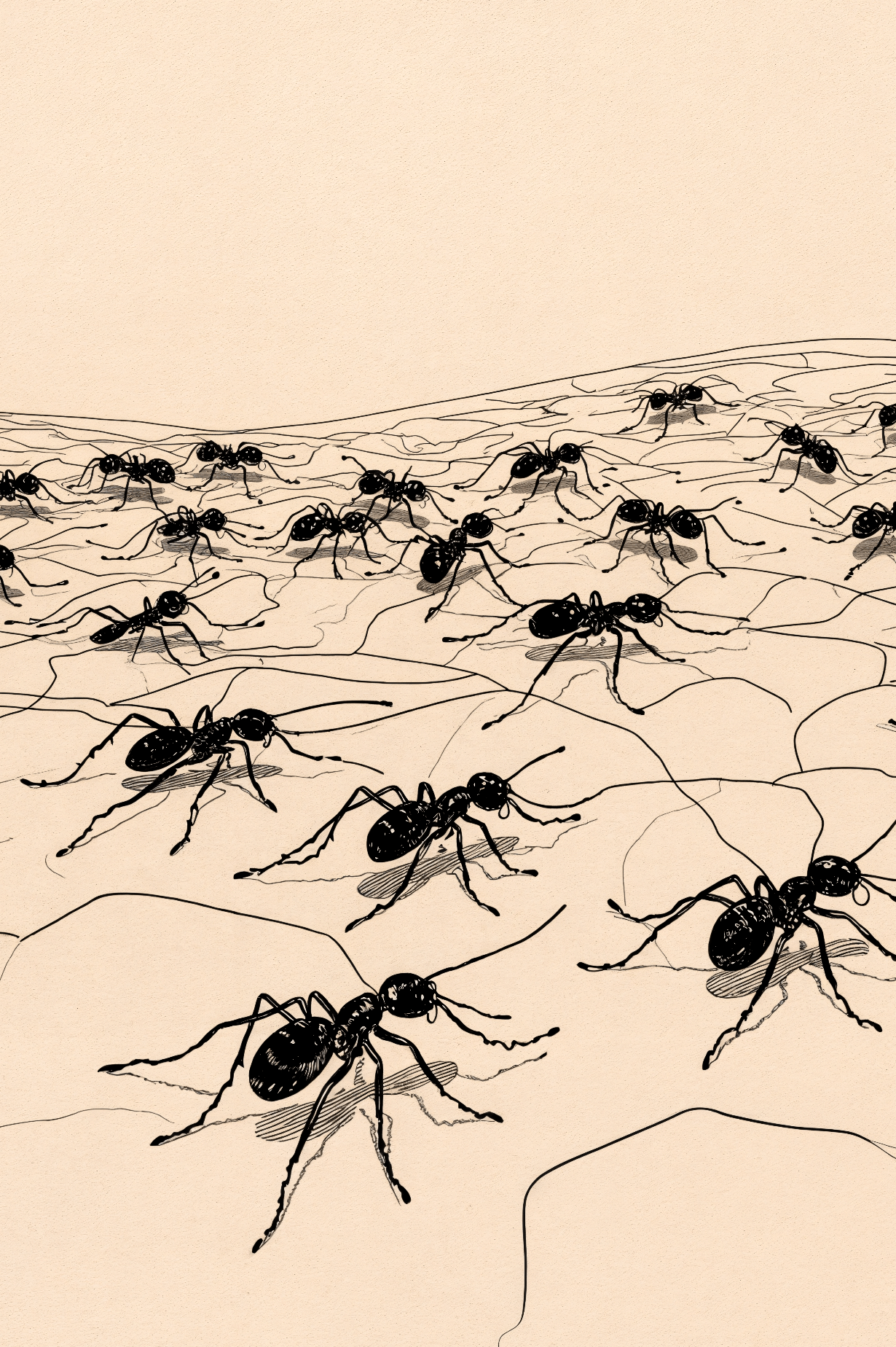 ANTS by Riffhaus - Unisex Cotton T-Shirt #GARDEN